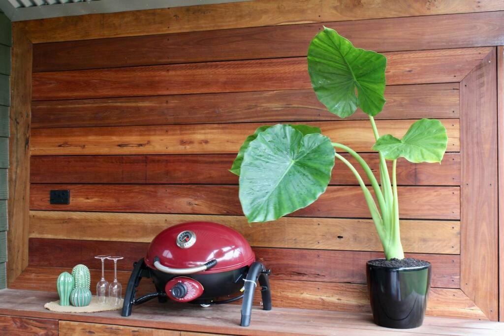 Hideaway Falls - Staggys Cottage Mapleton Ngoại thất bức ảnh